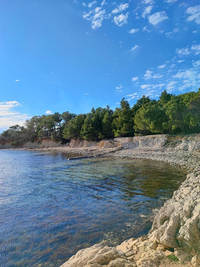 Apartmani Novak - Vir Eksteriør billede